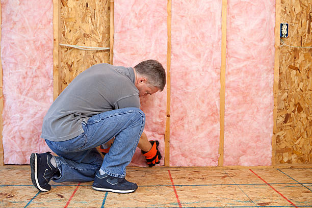 Best Insulation for Specific Applications in Peach Springs, AZ