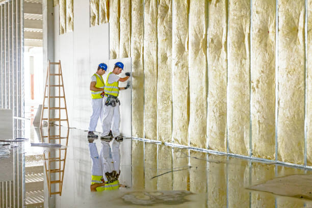 Best Types of Insulation in Peach Springs, AZ
